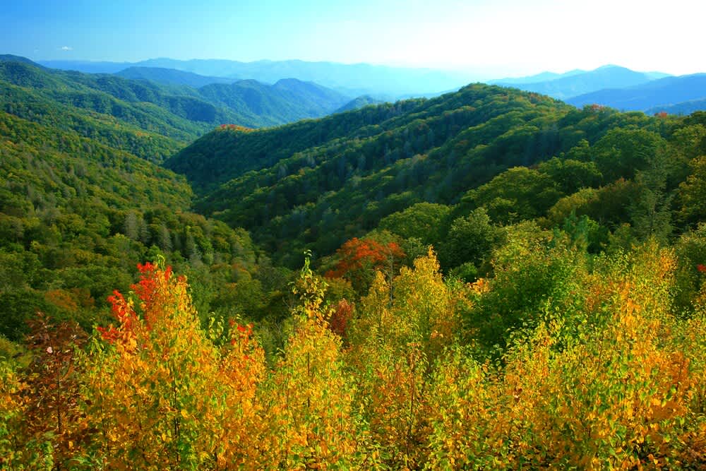 Scenic View: Bask in stunning mountain vistas and vibrant autumn hues right from your retreat!