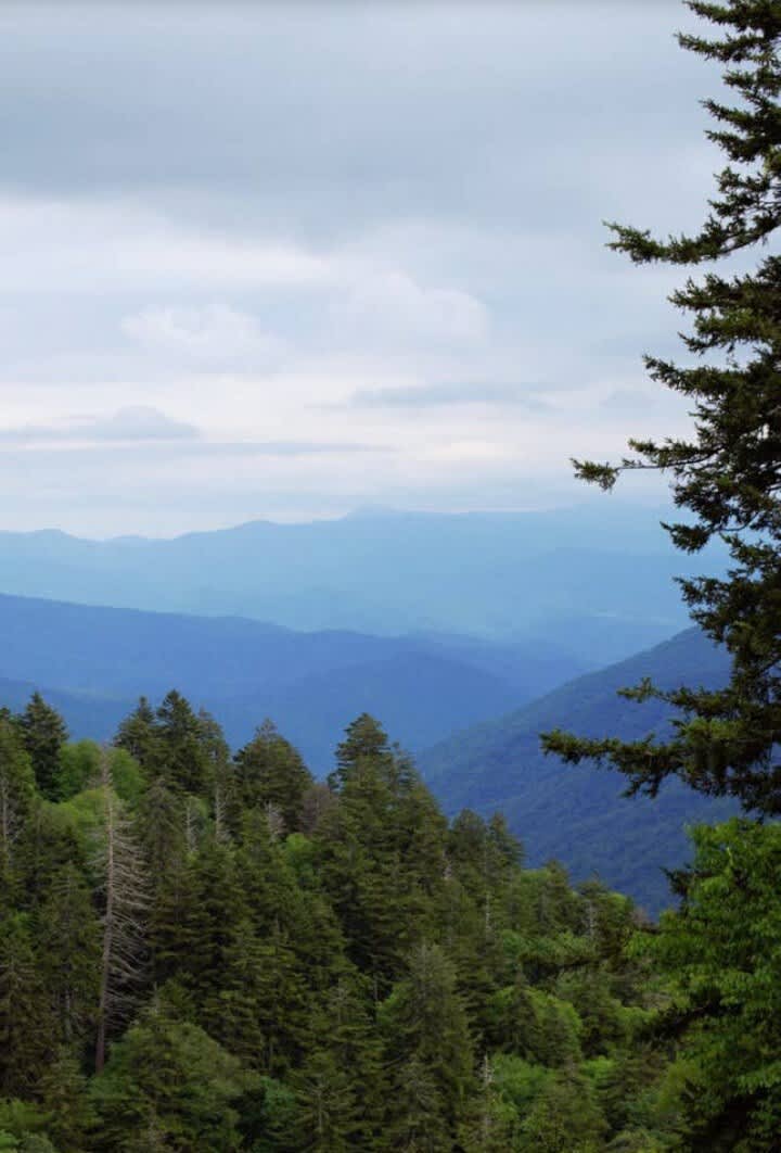 Stunning Mountain View: Gaze upon breathtaking landscapes from your retreat in the Smokies!