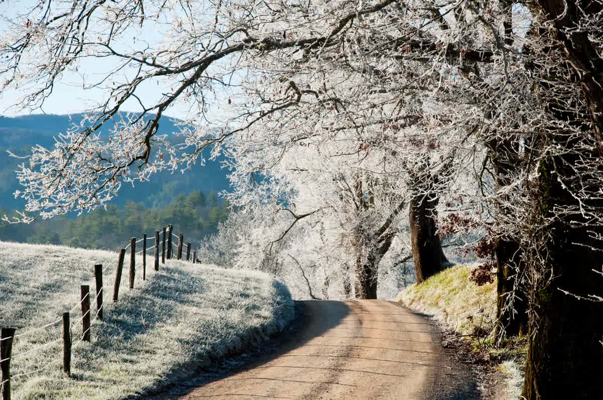 Enjoy some great scenery and fantastic drives through the mountains during the Winter! Note, this is not a picture of the view from the house but in the Smoky Mountains