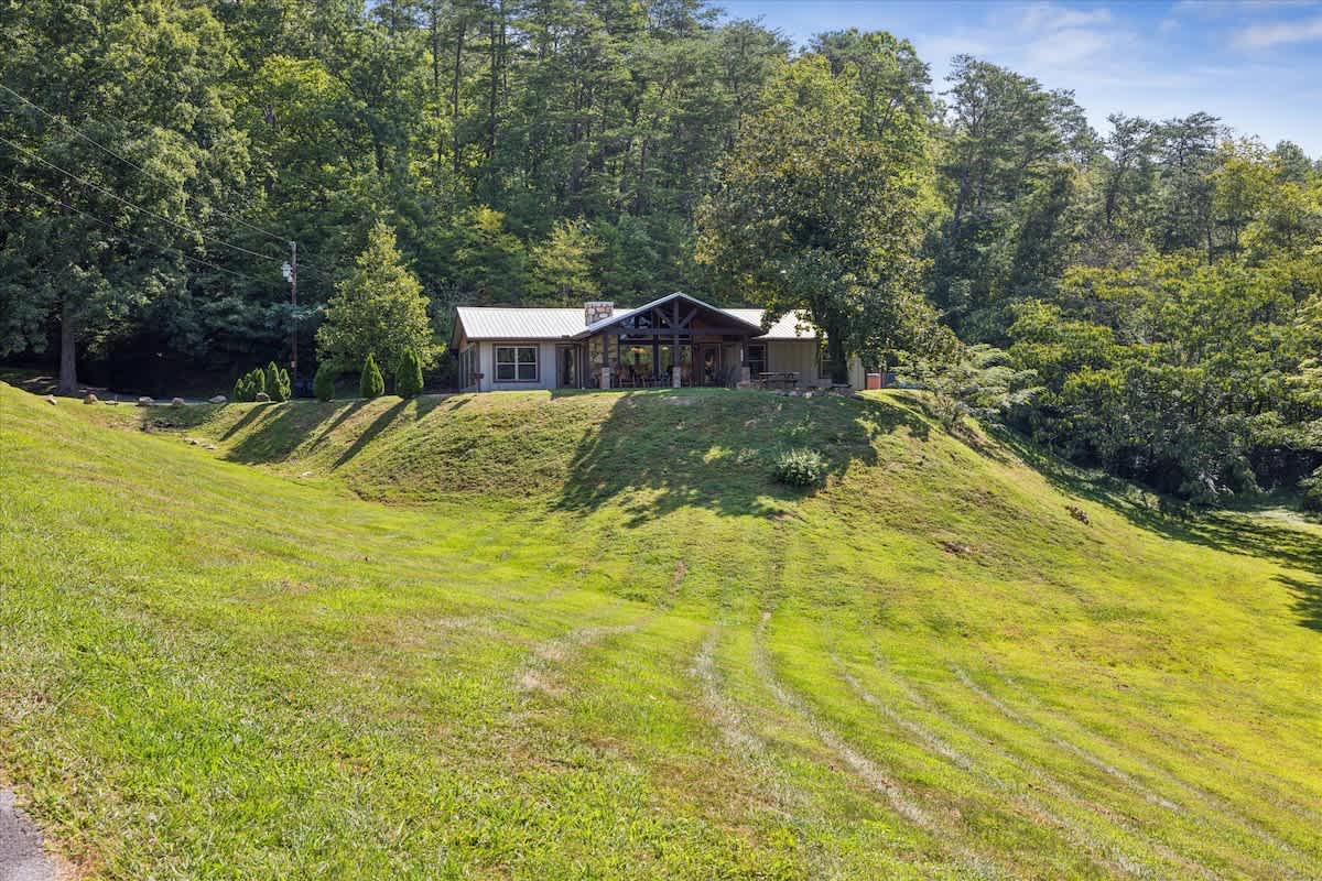 tunning hillside views and a charming cabin nestled among the trees!