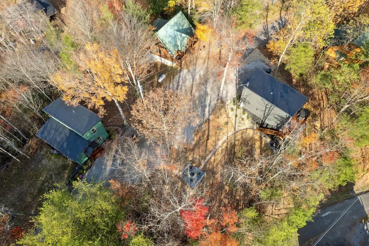 Black Bear Cabin: Nestled among vibrant trees, enjoy nature’s beauty from your private deck!
