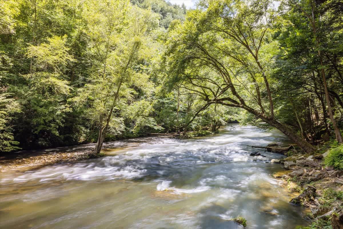 Nature Retreat: Immerse yourself in riverfront bliss surrounded by lush greenery!