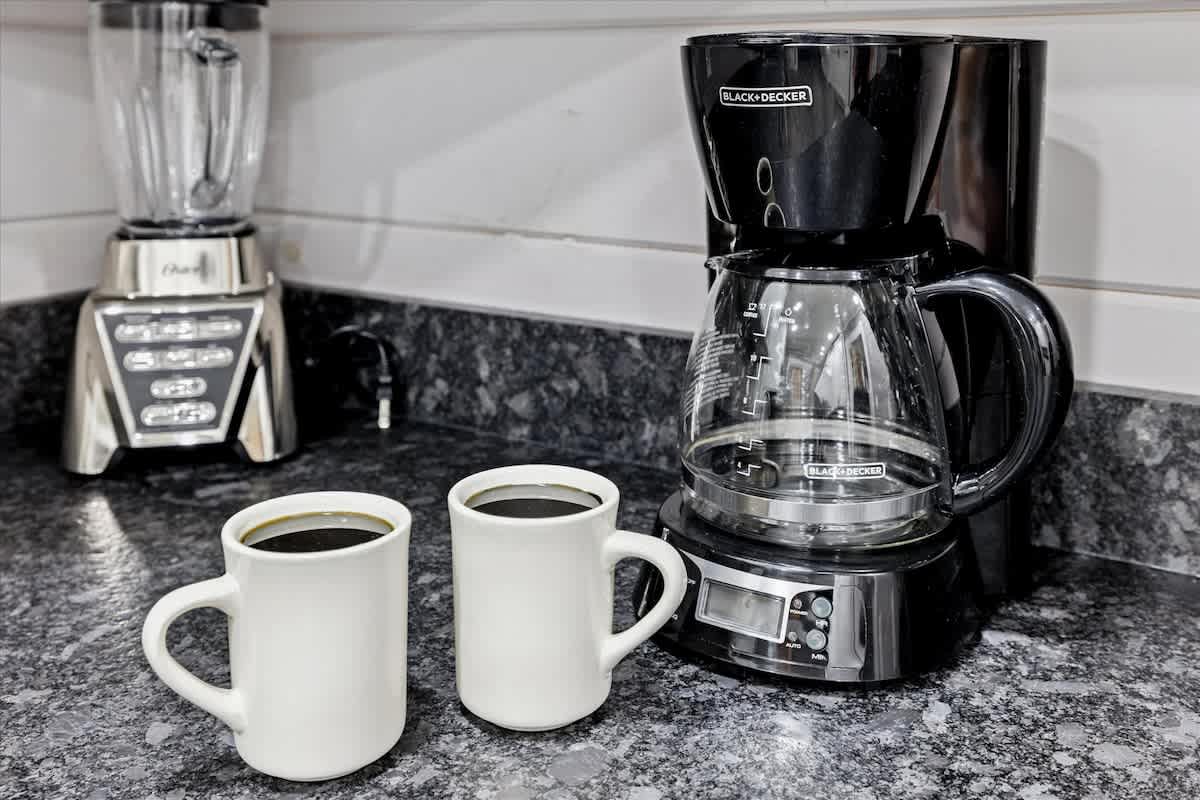 Morning coffee before the day's big adventures. 