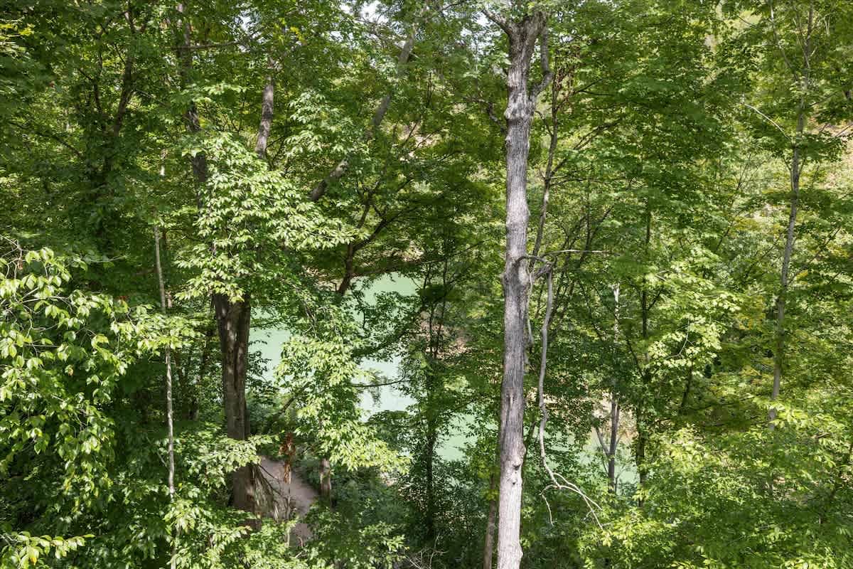 Scenic Retreat: Unwind amidst lush trees with tranquil river views right outside your window!