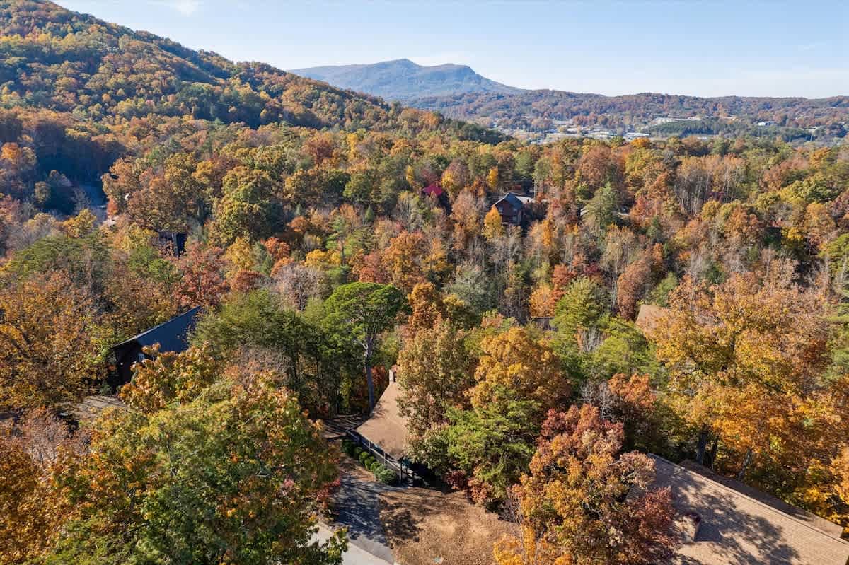 Bird’s-eye perspective of Firefly Holler’s charming exterior and natural landscape—your elevated retreat starts here.