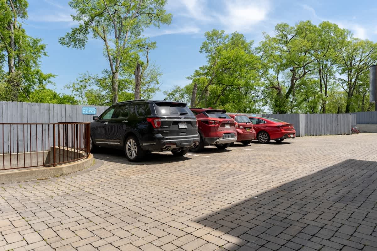 The Martin_Large-030