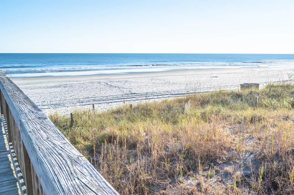 Natural Areas by the Ocean