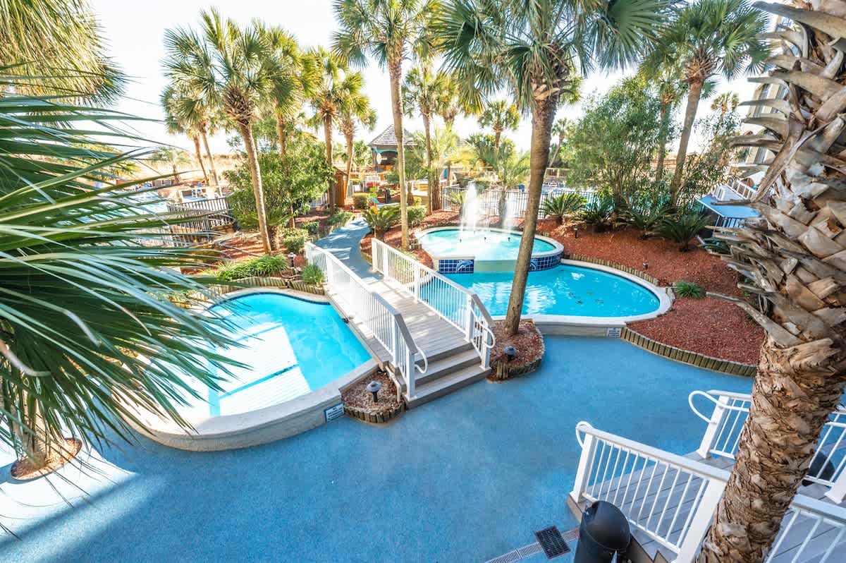 Tropical Feel with Palm Trees