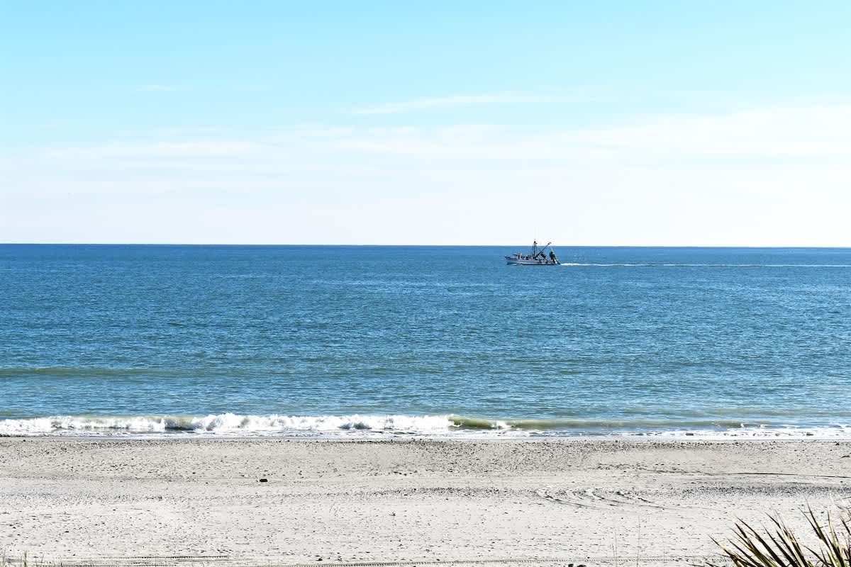 Enjoy the ships going by while enjoying the beach!