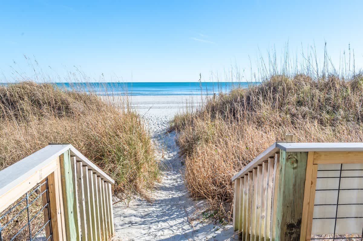 Natural Area Leading to Beach