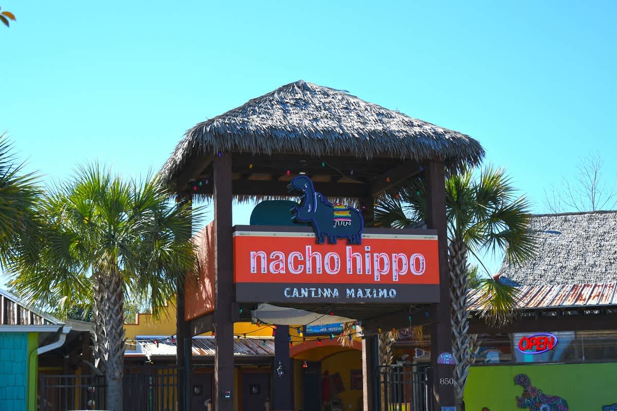 Nacho Hippo, short walk away