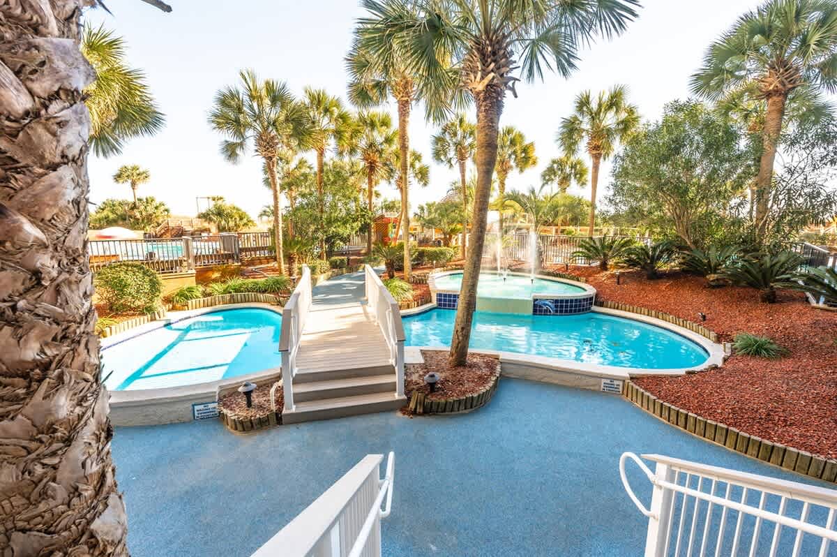 Tropical Feel with Palm Trees