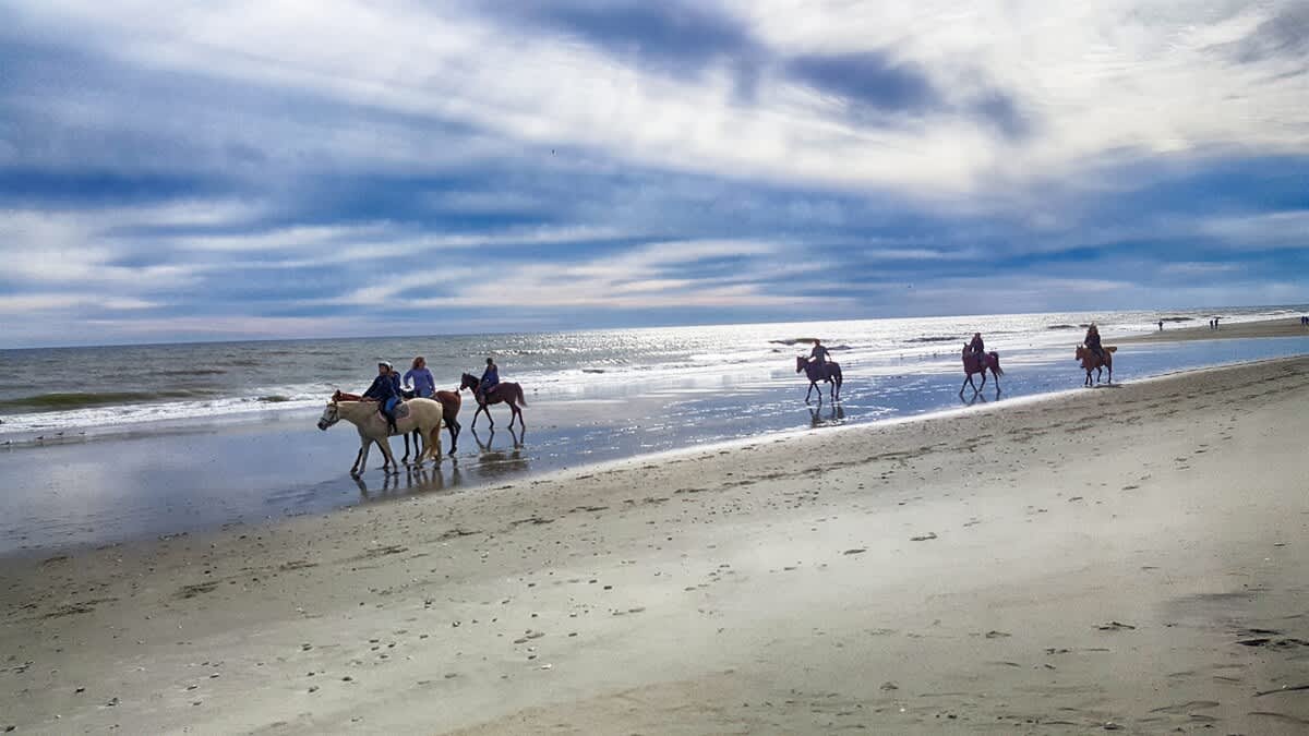 Horseback riding on the beach (seasonal)