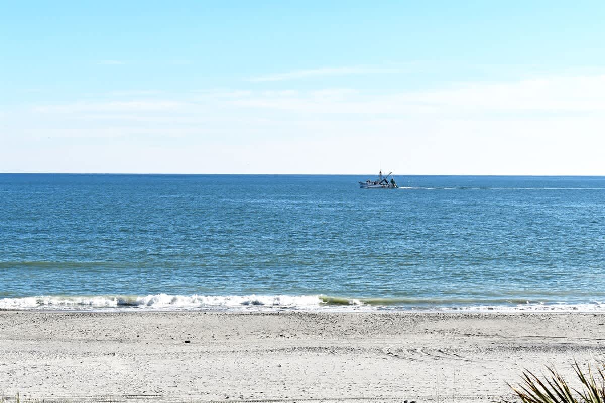 Enjoy the ships going by while enjoying the beach!