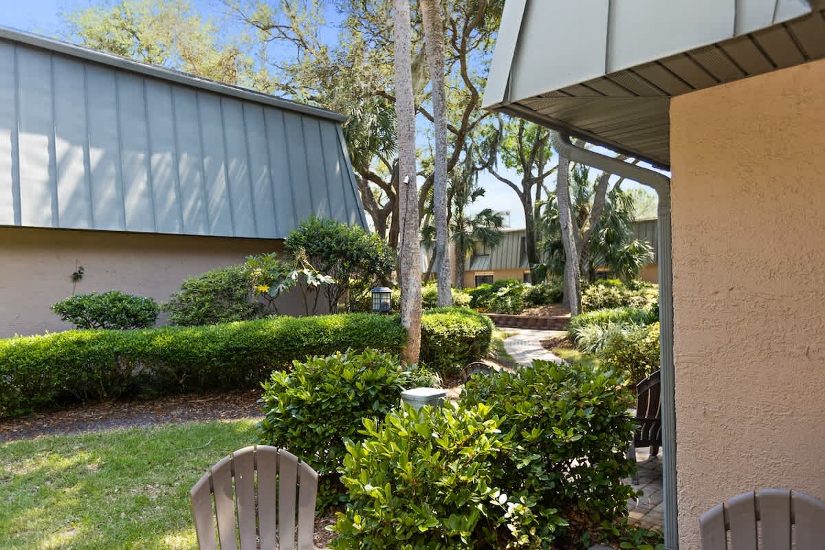 Back Yard Area