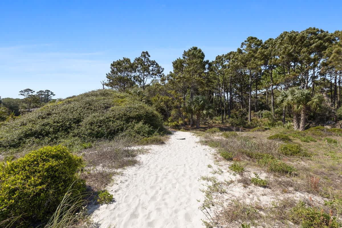 Beach Path