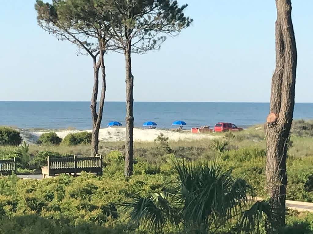 View from Patio