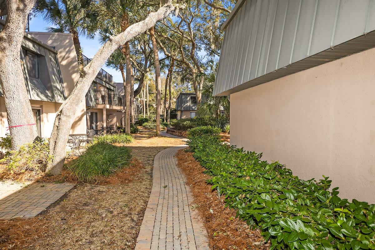 Pathway to the Pool from the Back Patio