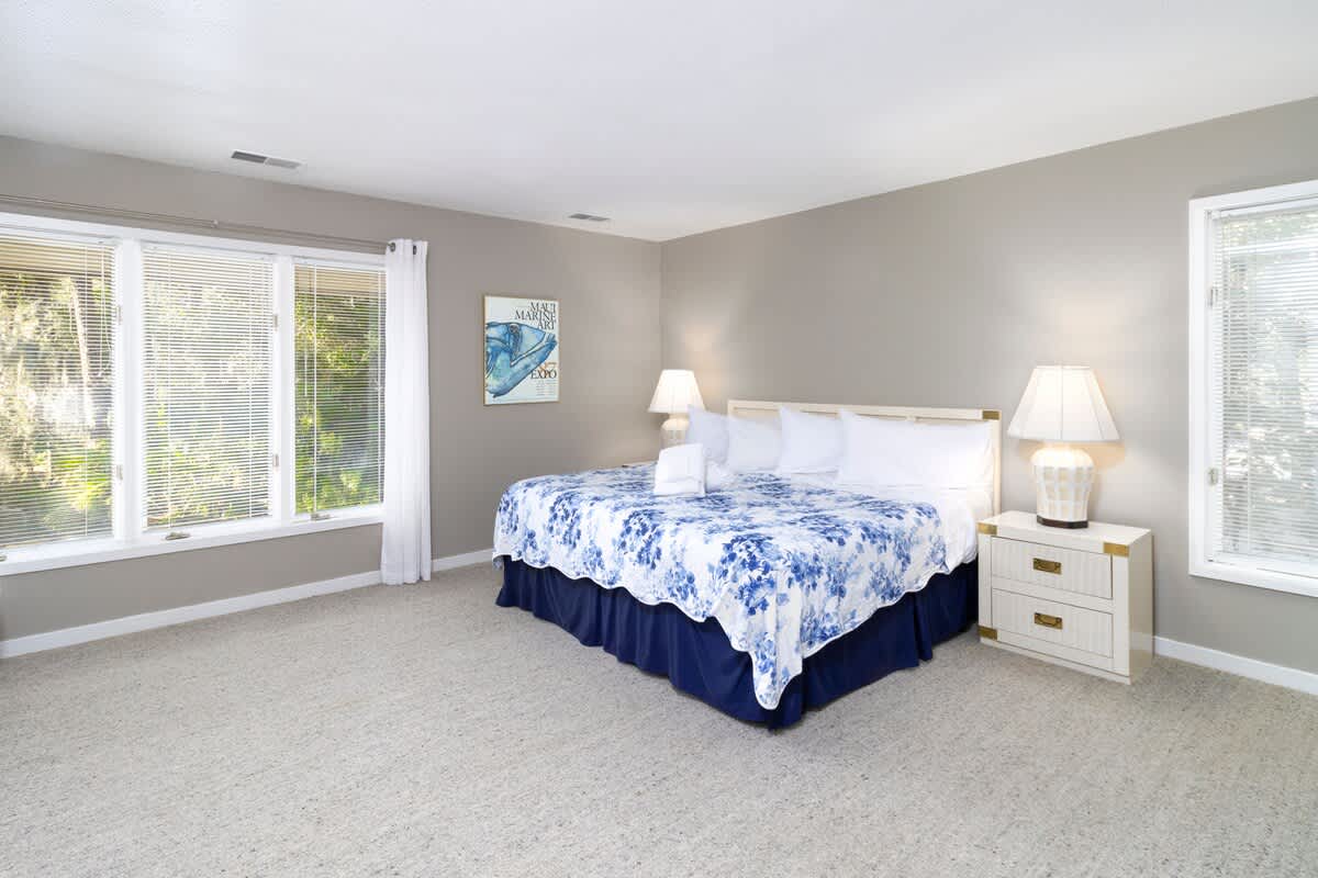 Guest Bedroom with King Bed