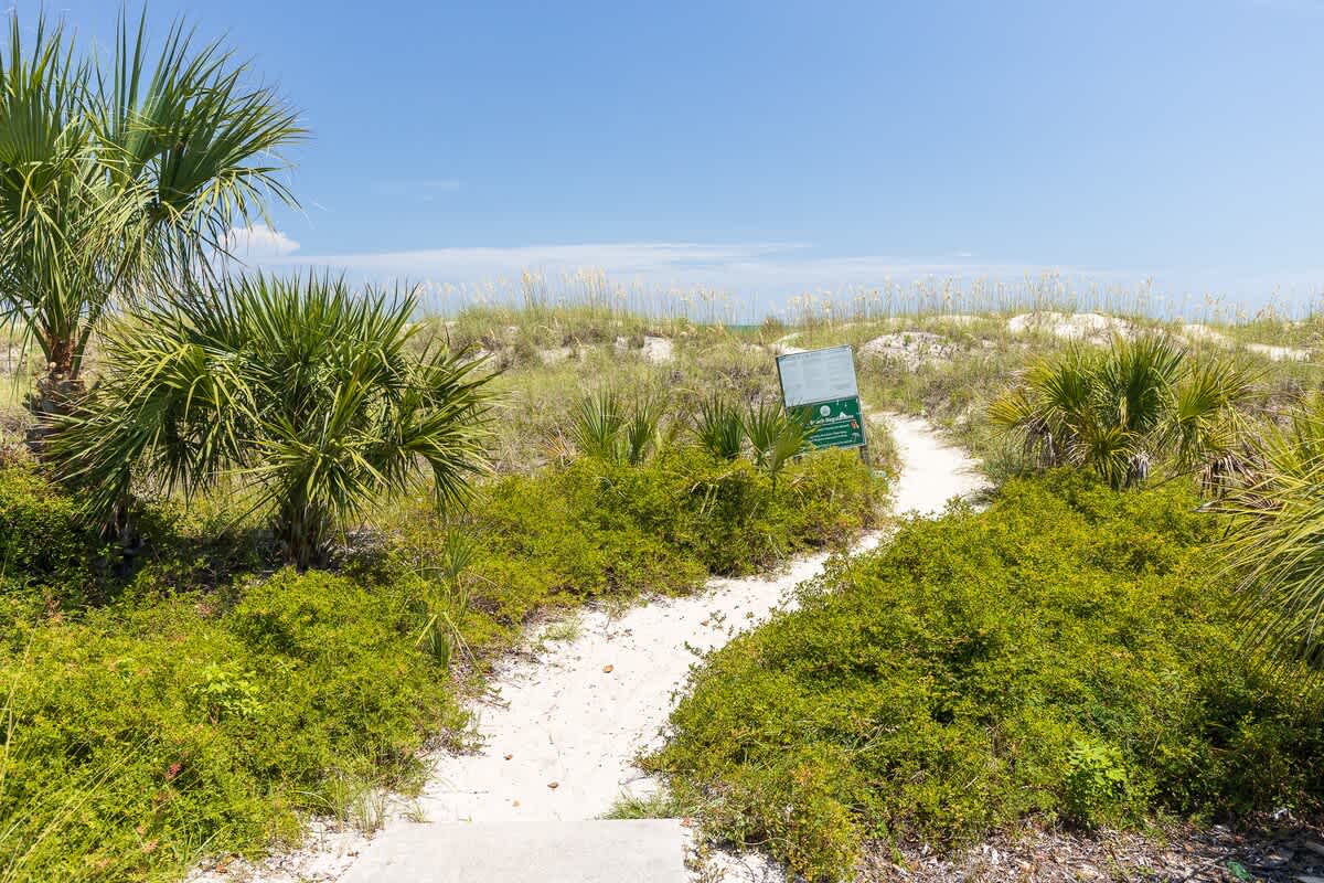 Beach Path