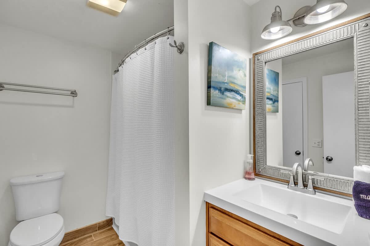 Downstairs Guest Bathroom