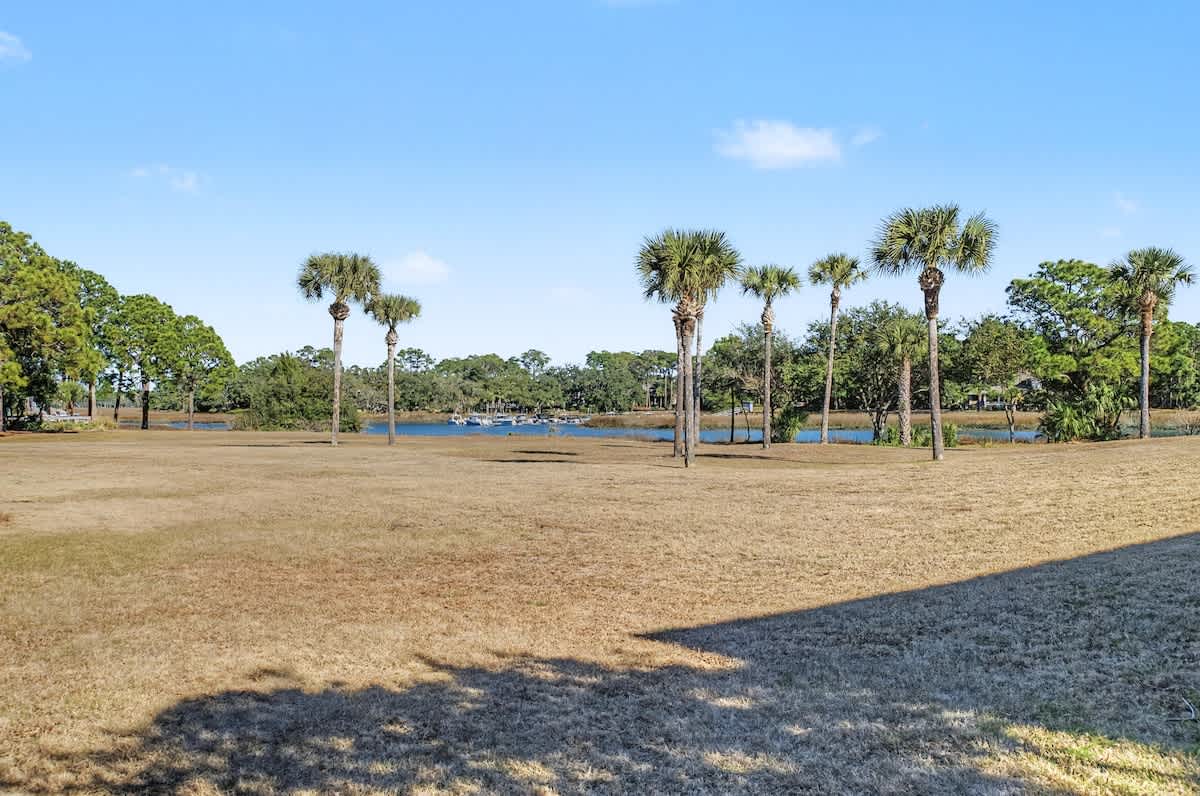 Scenic lakefront setting with swaying palms and open recreational space perfect for outdoor activities.