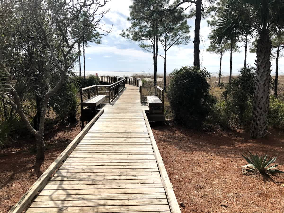 Wooden boardwalk winds through coastal landscape with native palms and pine trees, leading to natural surroundings.