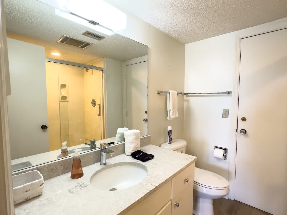Primary Suite Bathroom