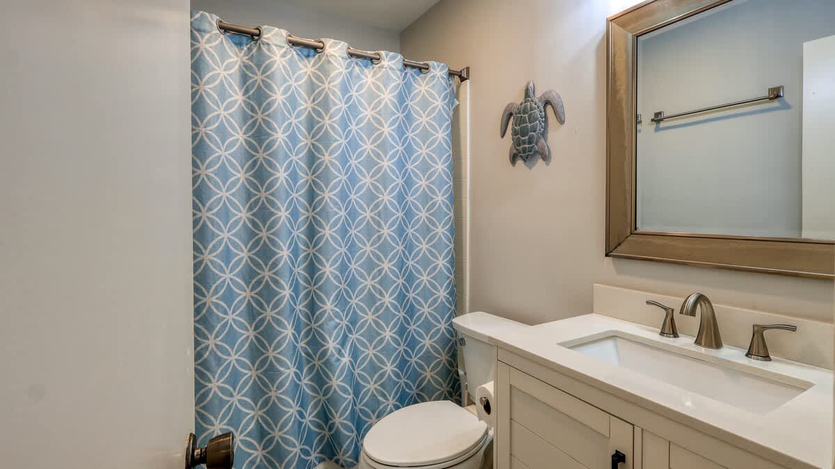 Downstairs Guest Bathroom