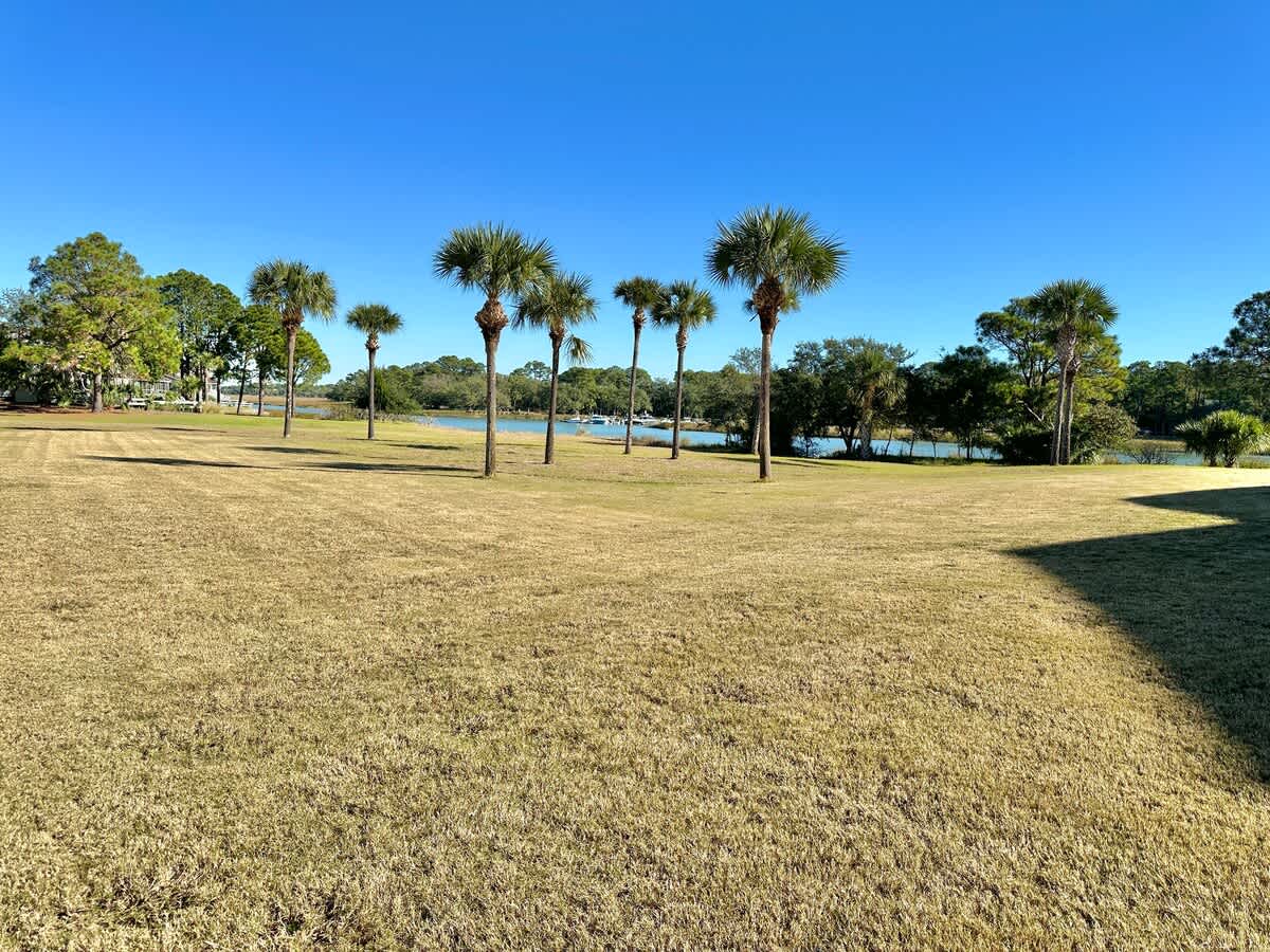 Lagoon Views