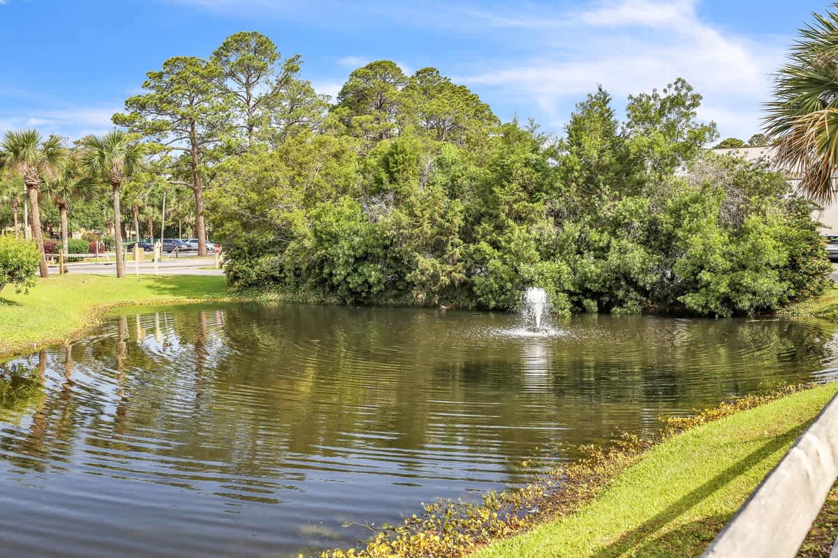 Lagoon