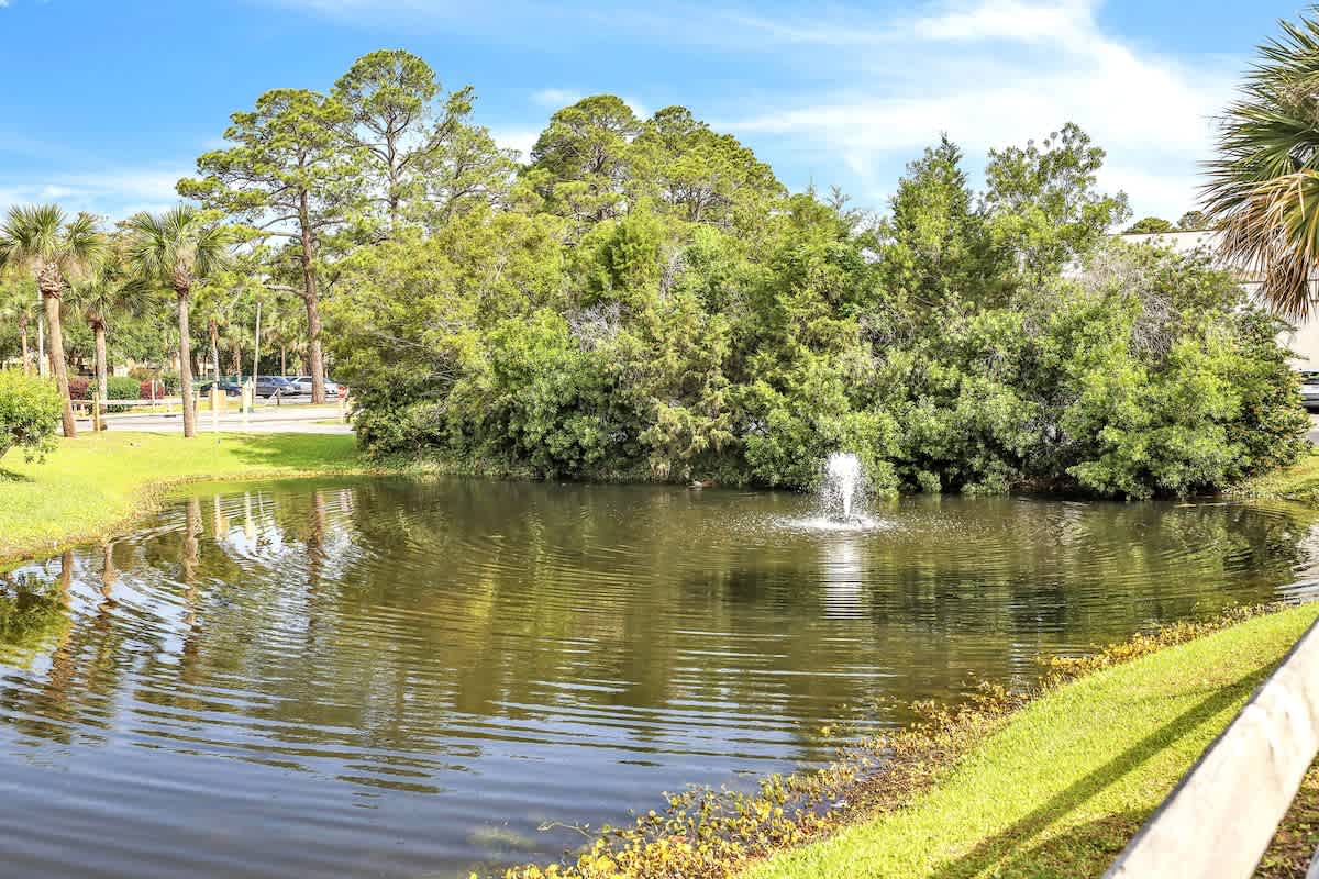 Lagoon