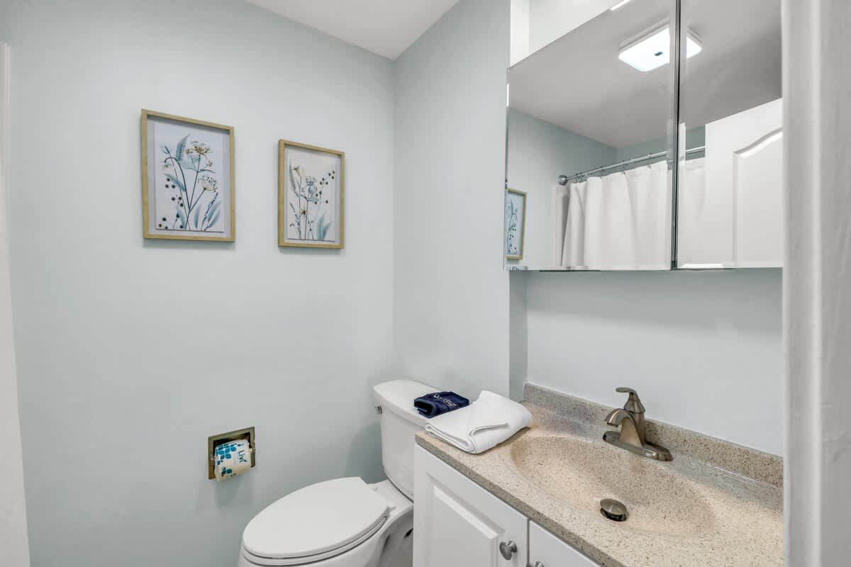 Guest Suite Bathroom