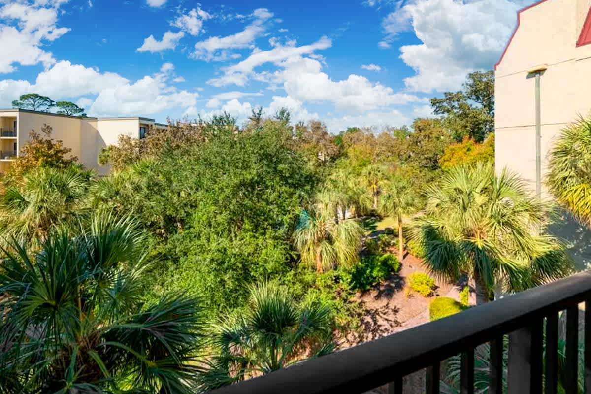 Private Patio View