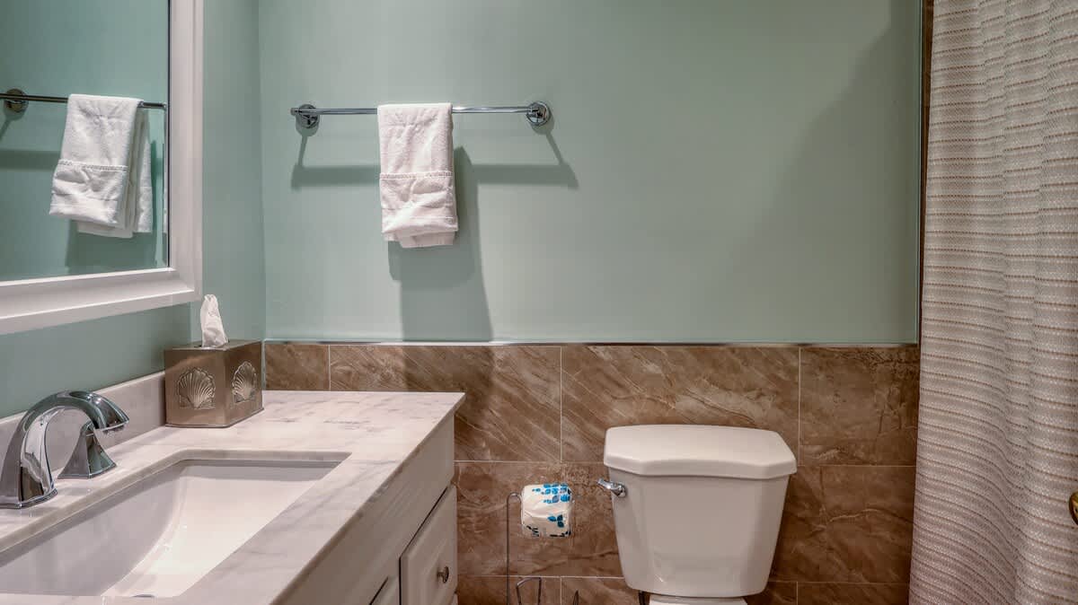 Full Guest Bathroom
