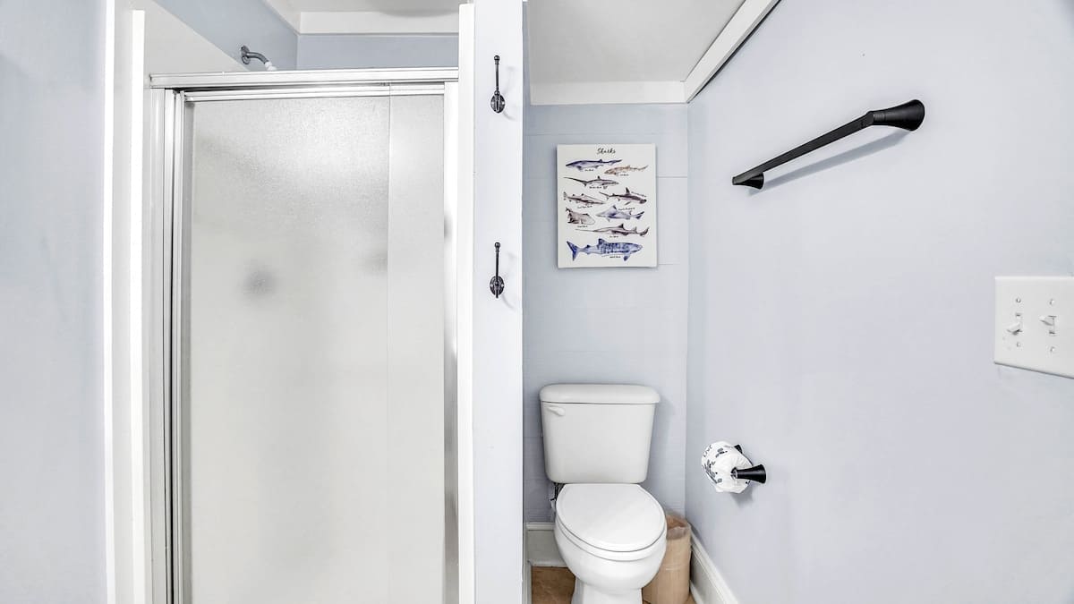 Guest Full Bathroom