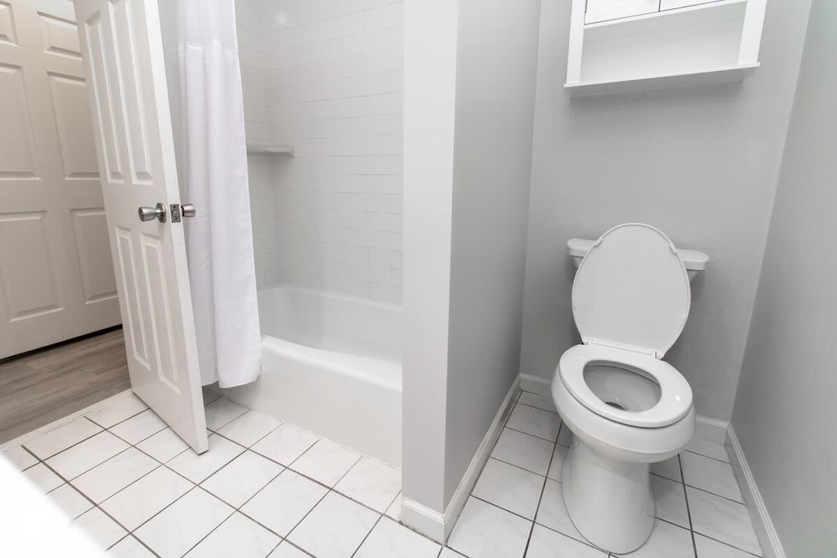 Guest Bathroom in Hallway