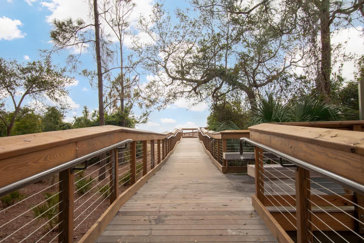 Boardwalk to Beach at Folly Field (5 Minute Walk Away!)