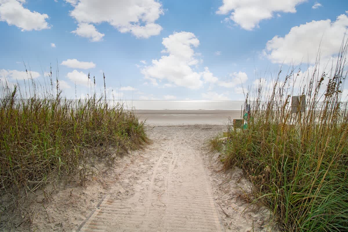 Folly Field Beach (5 Minute Walk Away!)