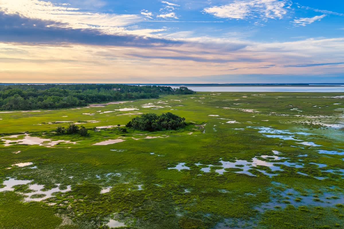 Lowcountry Marshland