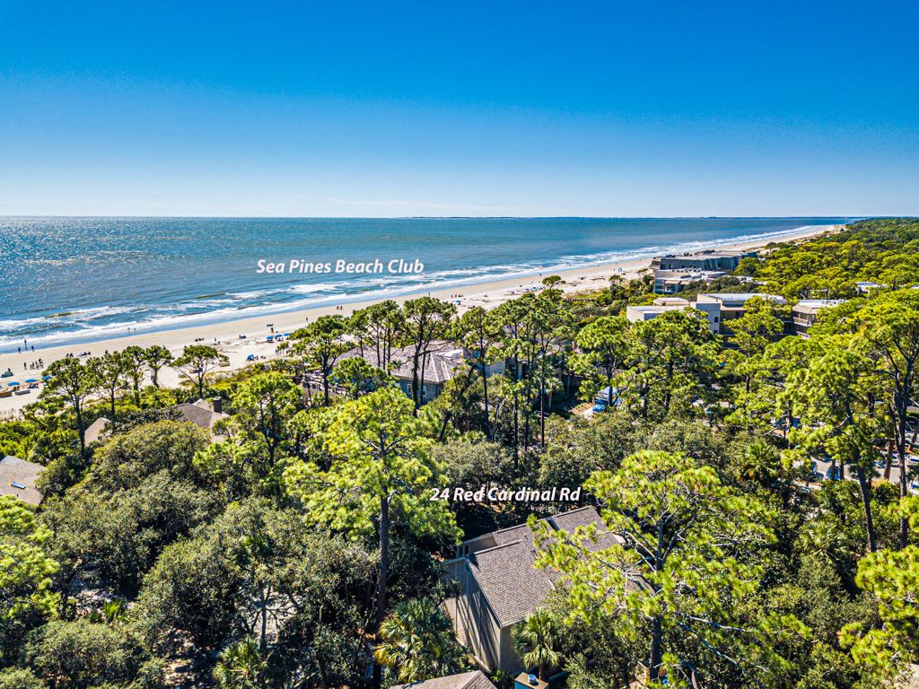 24 Red Cardinal 2