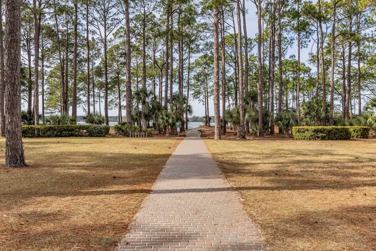 A peaceful brick pathway leads through towering pines and palm trees toward the waterfront, creating a serene natural corridor.