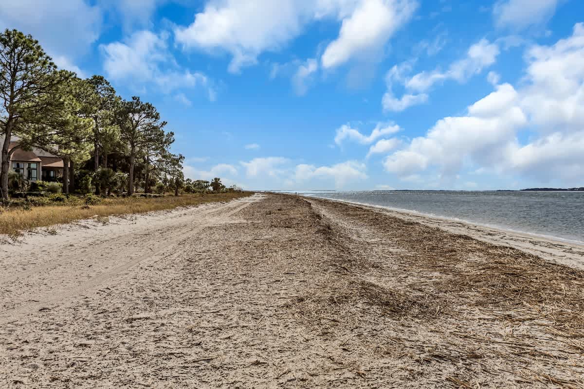 Pristine sandy beach stretches along calm waters with nearby vacation homes nestled among coastal trees.