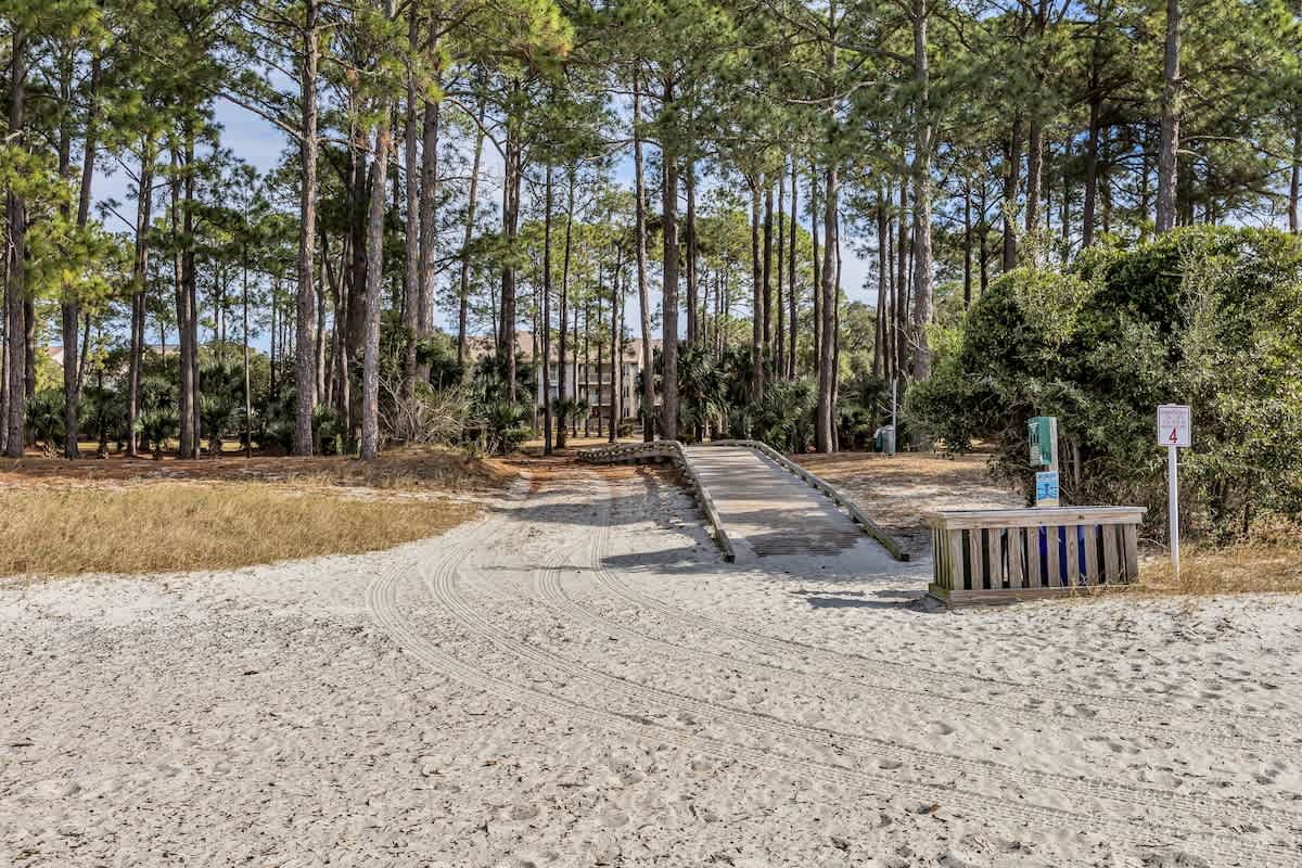 Sandy beach area with wooden boardwalk leading through towering pine trees to nearby accommodations.