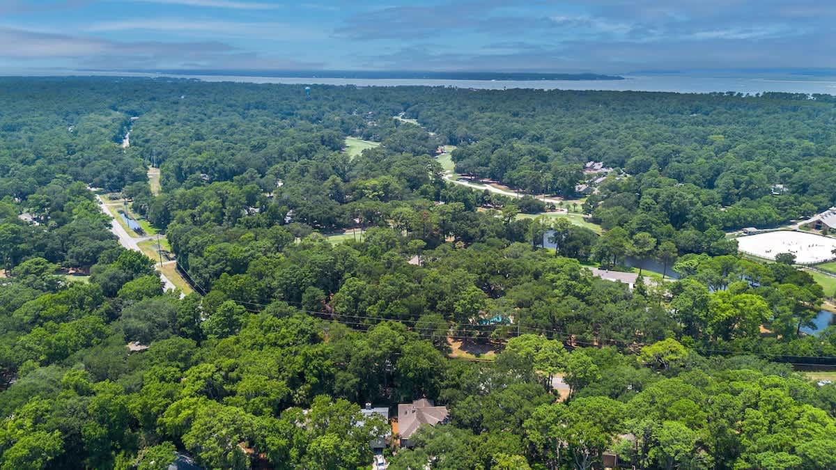 Aerial view showcasing a lush, tree-covered neighborhood with winding roads leading toward the distant water.