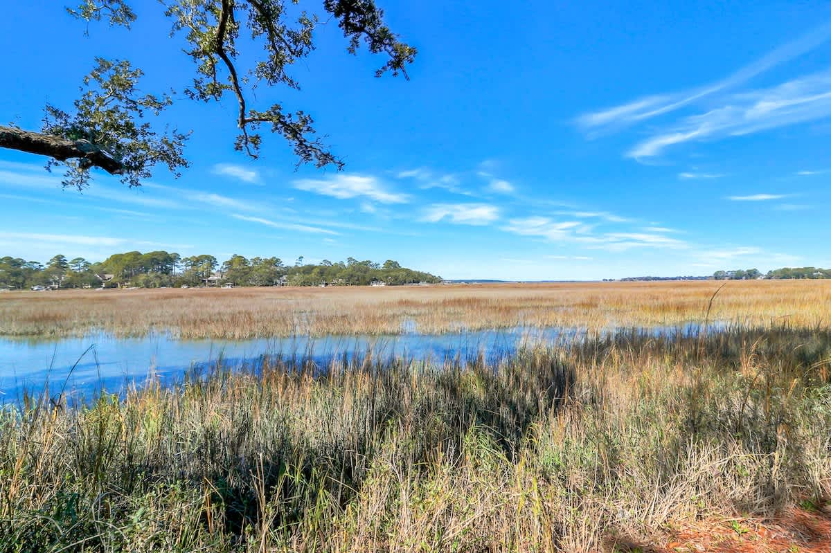 Peaceful wetland marshes stretch under brilliant blue skies, offering tranquil natural scenery near the property.