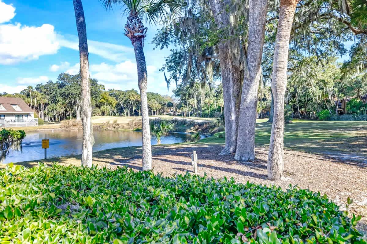 Serene waterfront setting with towering palms and Spanish moss creates a peaceful natural backdrop for your Florida getaway.