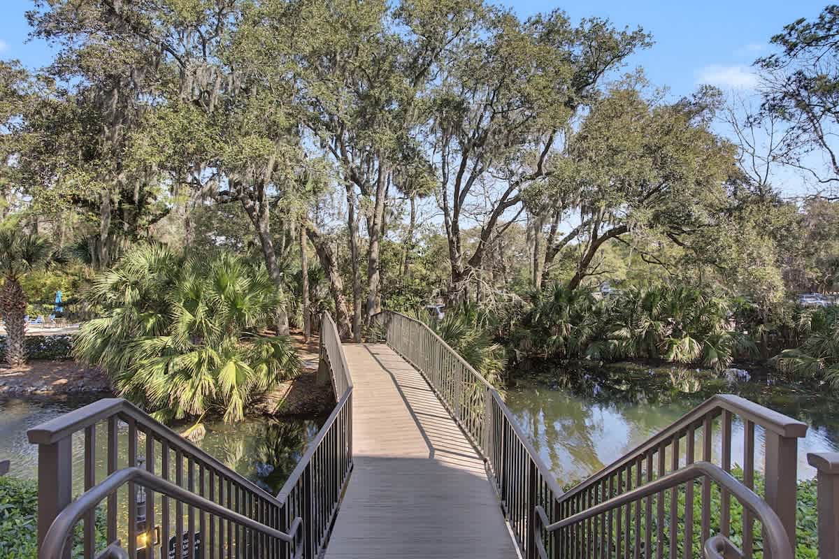 Wooden boardwalk bridge spans tranquil waters, surrounded by lush palms and native trees creating a peaceful natural setting.
