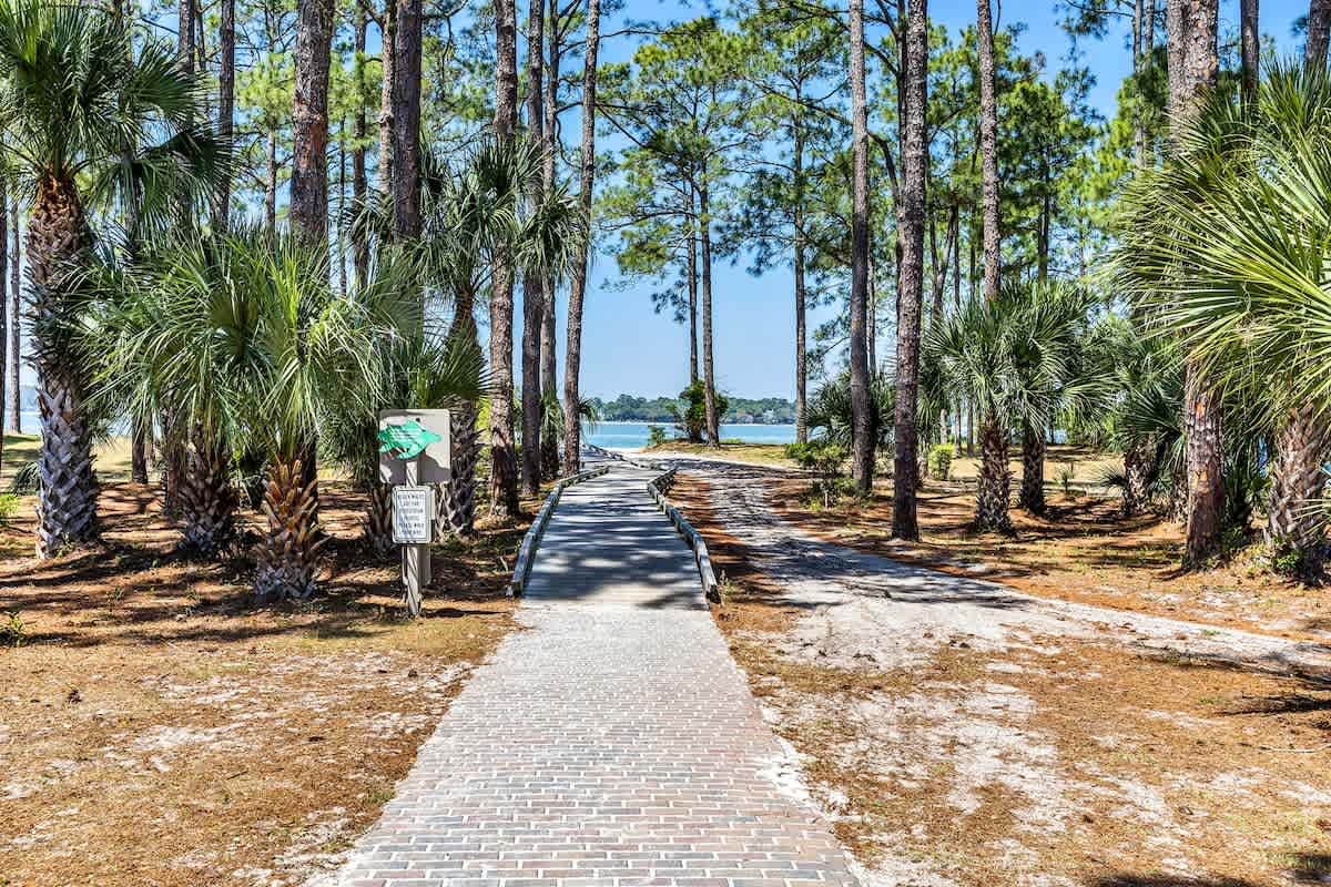 A scenic boardwalk winds through towering pines and palms, leading toward tranquil waterfront views in this naturally beautiful coastal setting.