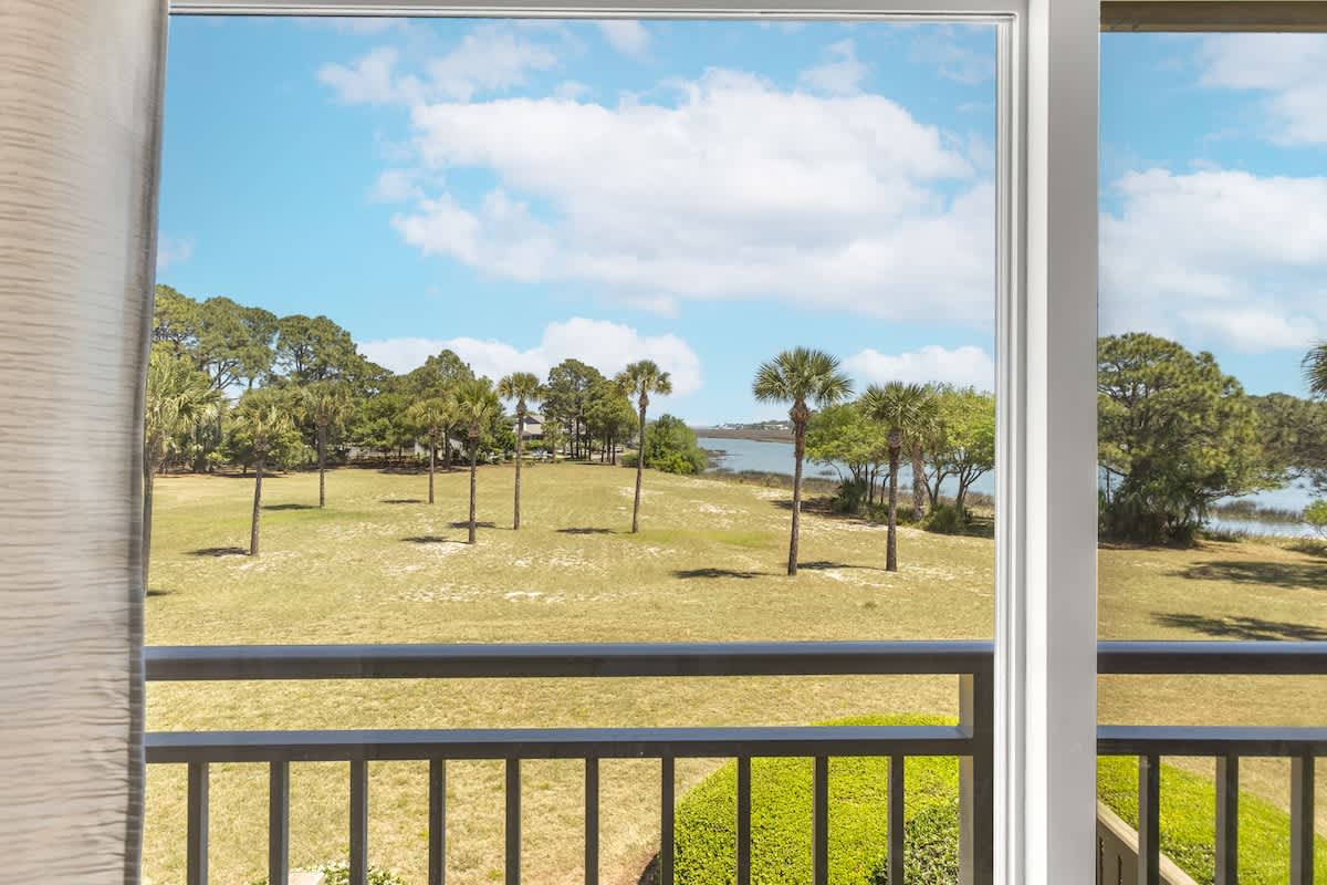 Bright waterfront view from your balcony showcases palm trees and scenic coastal landscape.